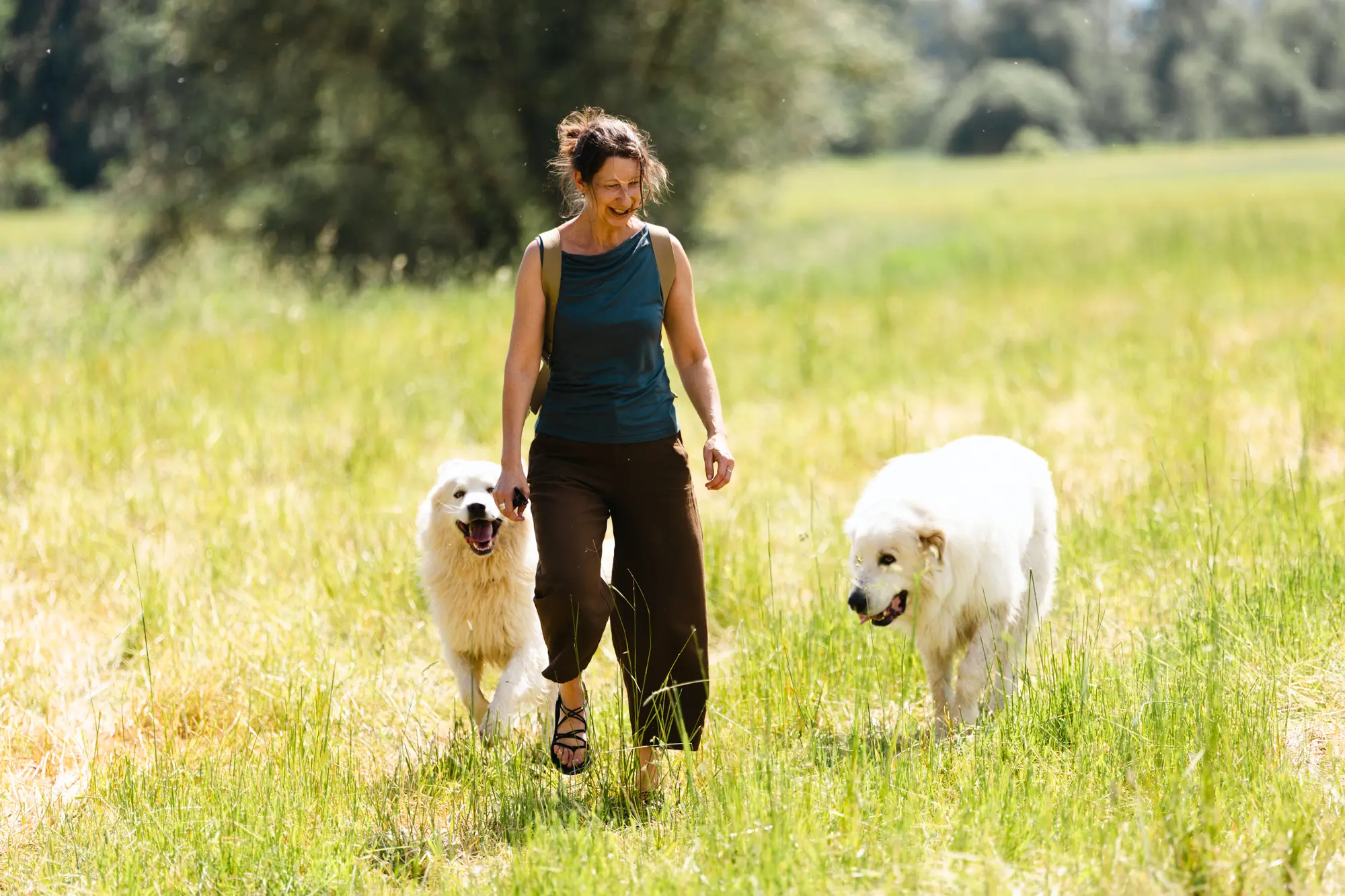 Kristin Seidenzahl spaziert mit ihren beiden weißen Hunden über eine sonnige Sommerwiese